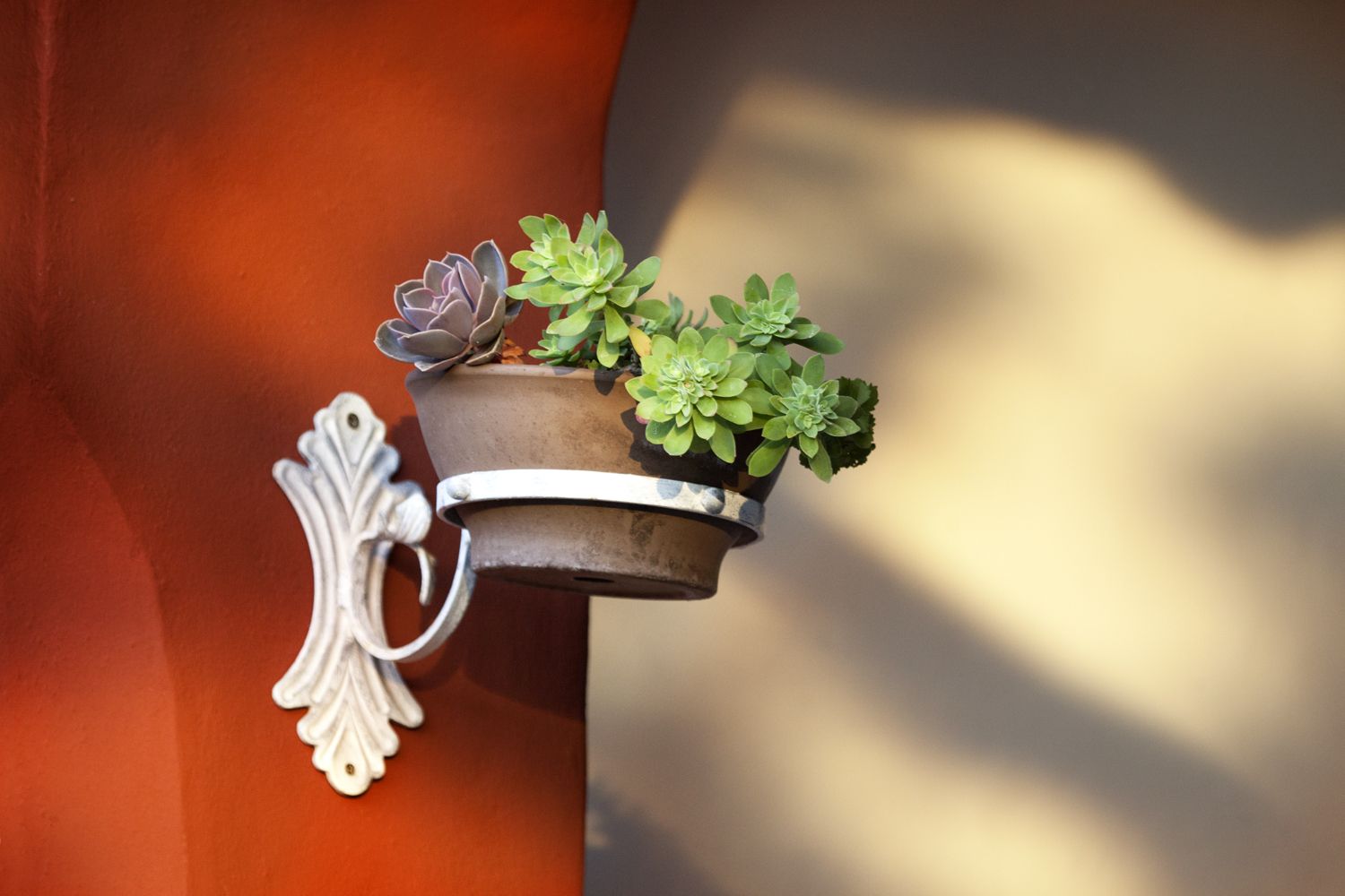 IMG_6652 UP Nahl 1500 ob