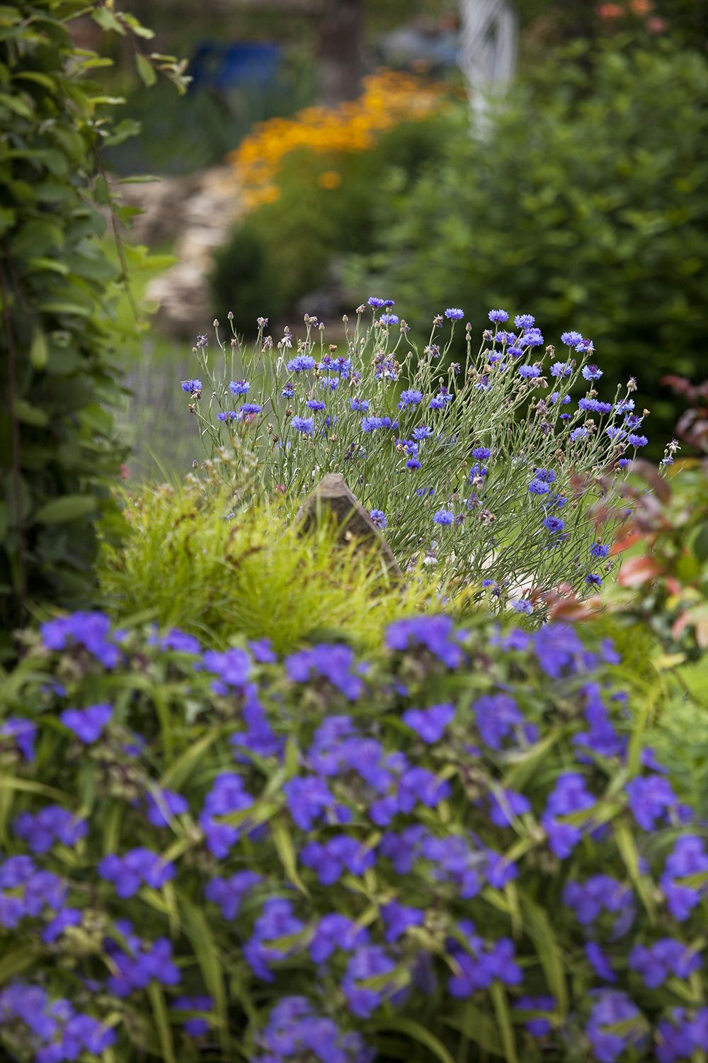 IMG_0344 Nahl 1500 ob Up