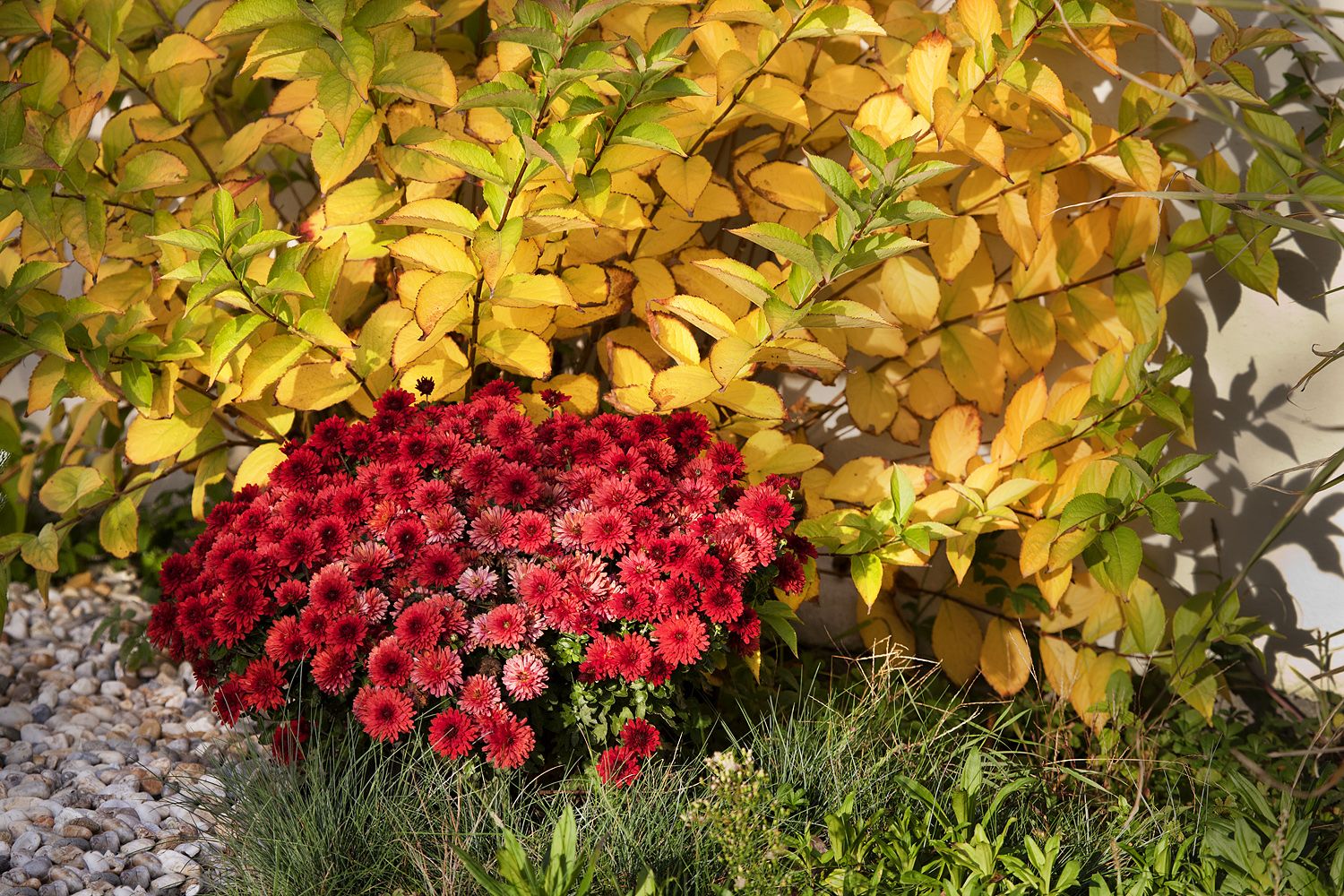 IMG_6644UP Nahl 1500 ob