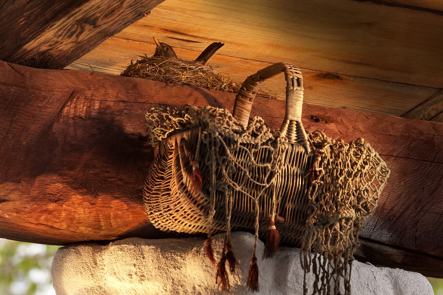 IMG_3622 Nahl 1500 ob